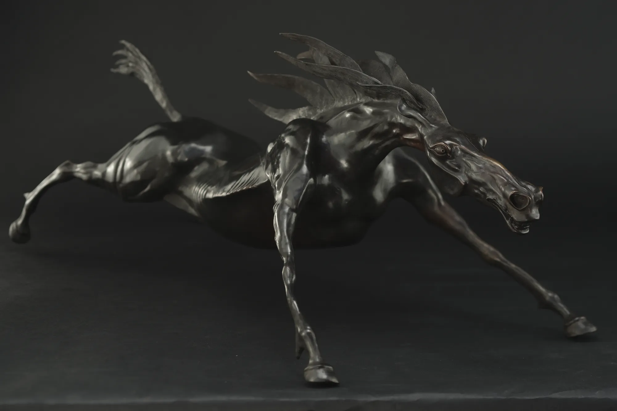 Black Stallion - view 4